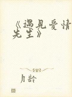 《遇见爱情的利先生》