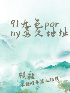 91九色porny勇久地址
