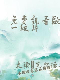 免费观看欧美的一级片