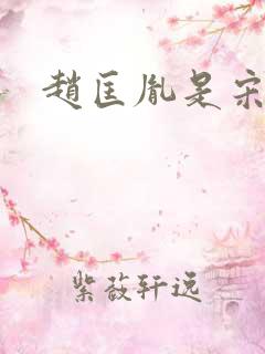 赵匡胤是宋太祖