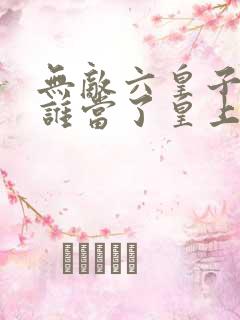 无敌六皇子最后谁当了皇上