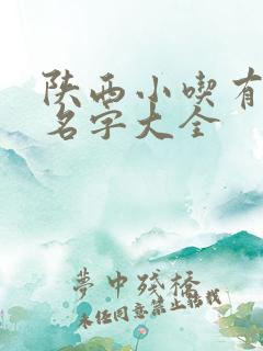 陕西小吃有哪些名字大全