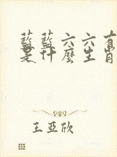 蓝蓝六六有财发是什么生肖