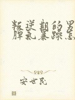 叛逆期的男孩子脾气暴躁怎么办