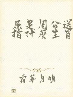 原是周公送码梦指什么生肖