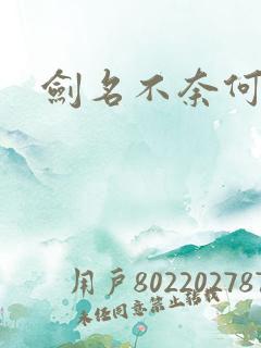 剑名不奈何结局