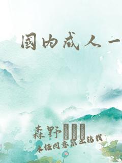 国内成人一级片