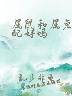 属鼠和属兔的婚配好吗
