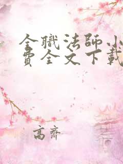全职法师小说免费全文下载