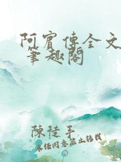 阿宾传全文阅读 笔趣阁