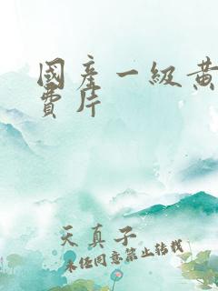国产一级黄色免费片