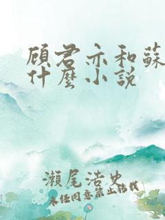 顾君亦和苏杳是什么小说