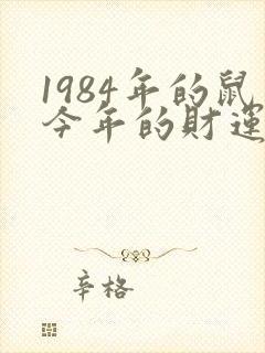 1984年的鼠今年的财运怎么样