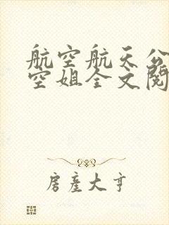 航空航天公司的空姐全文阅读