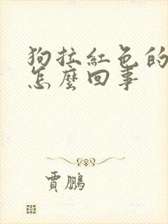狗拉红色的稀屎怎么回事