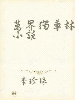万界独尊林枫全小说