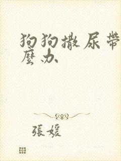 狗狗撒尿带血怎么办
