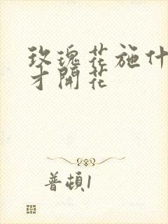 玫瑰花施什么肥才开花