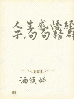 人生感悟经典句子,句句精辟入骨