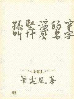 孙坚演的穿越剧叫什么名字