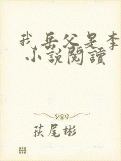 我岳父是李世民 小说阅读