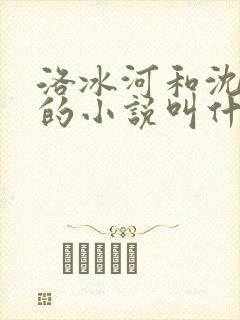 洛冰河和沈清秋的小说叫什么名字