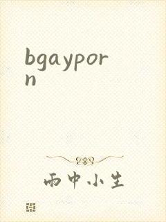 bgayporn