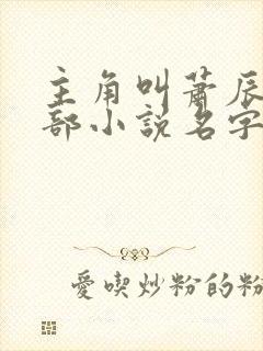 主角叫萧辰的全部小说名字