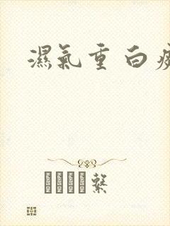 湿气重 白痰