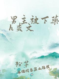 男主被下药后高h爽文
