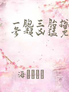 一胞三胎总裁爹爹超凶猛免费阅读