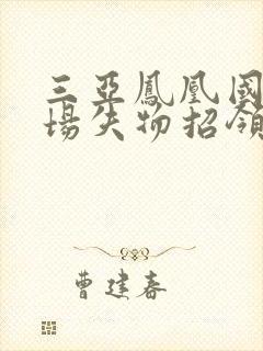 三亚凤凰国际机场失物招领