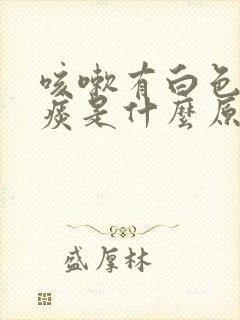 咳嗽有白色泡沫痰是什么原因