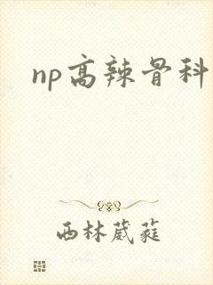 np高辣骨科 np高辣骨科