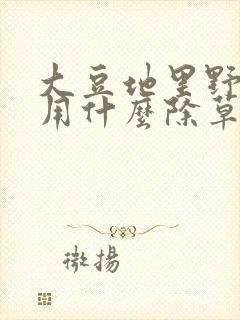 大豆地里野豆子用什么除草剂
