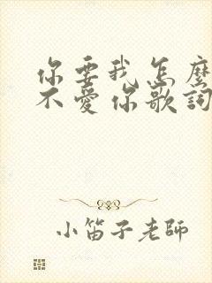 你要我怎么说我不爱你歌词