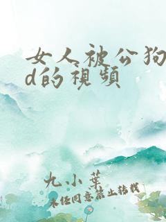 女人被公狗强:d的视频