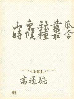 山东秋黄瓜什么时候种最合适