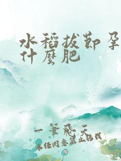 水稻拔节孕穗施什么肥