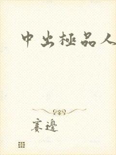 中出极品人妻