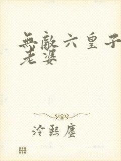 无敌六皇子几个老婆