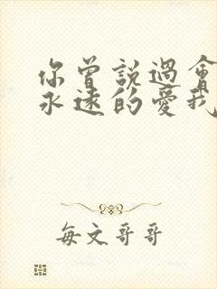 你曾说过会给我永远的爱我什么歌