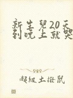 新生儿20天一到晚上就哭闹不睡觉