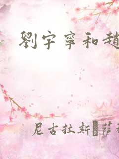 刘宇宁和赵露思