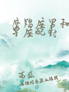 摩羯座男和什么星座配对