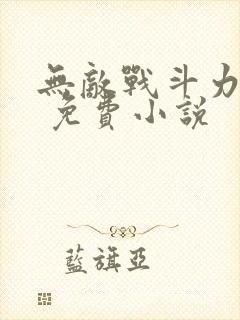 无敌战斗力系统 免费小说