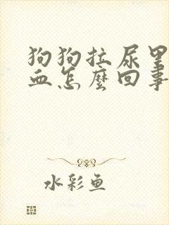 狗狗拉尿里面有血怎么回事