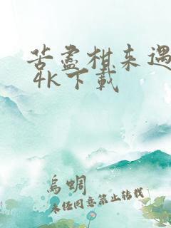 苦尽柑来遇见你 4k下载