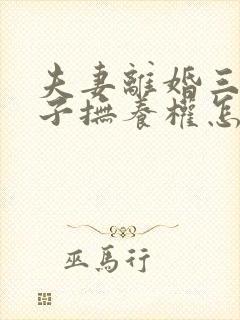 夫妻离婚三岁孩子抚养权怎么判定
