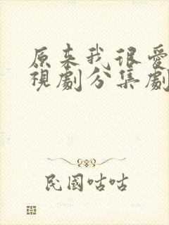 原来我很爱你电视剧分集剧情介绍
